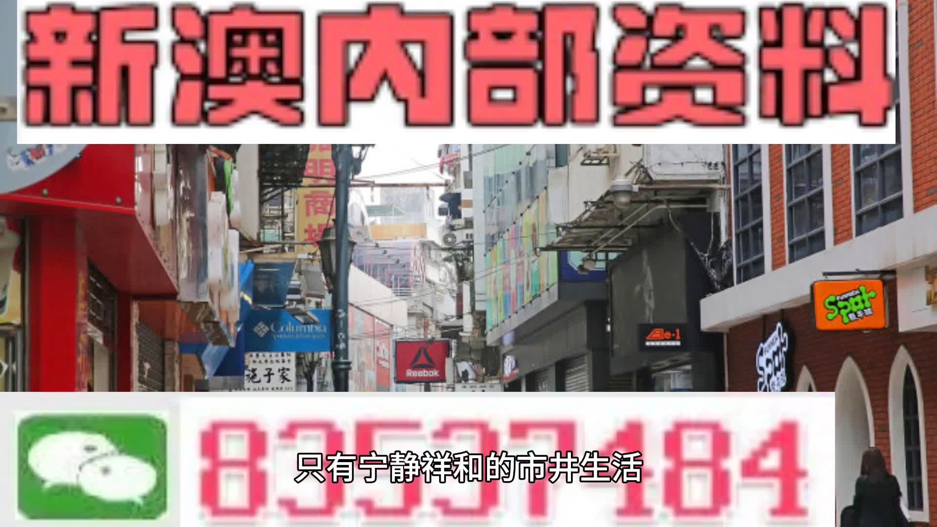 新澳门精准四肖期期中特公开,精选资料解析大全