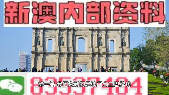 新澳门正版免费资料怎么查,精选资料解析大全