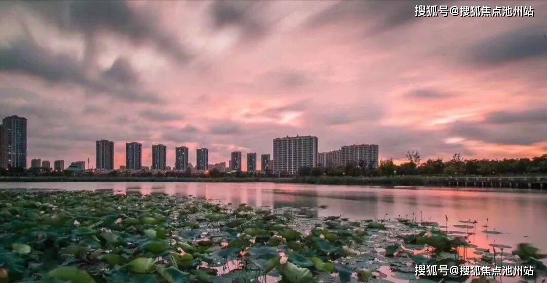 2025澳门最新最快内部资料,精选资料解析大全