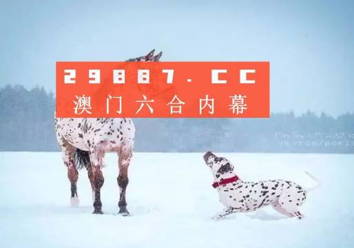 澳门一肖一码准选一码2023年,精选资料解析大全