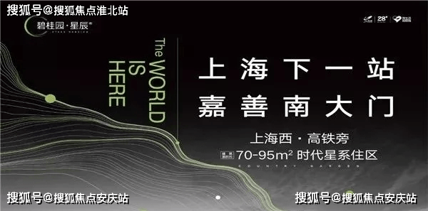 新奥管家婆免费资料2O24,精选资料解析大全