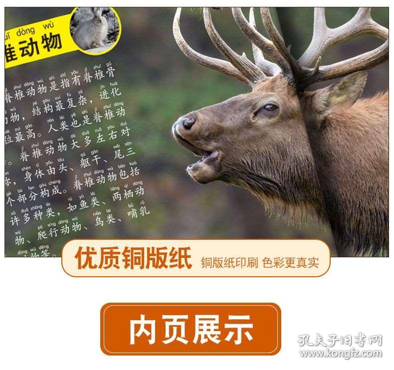 澳门四不像免费正版资科大全,精选资料解析大全