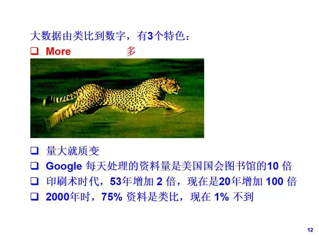 2025正版四不像图解特肖下载,精选资料解析大全