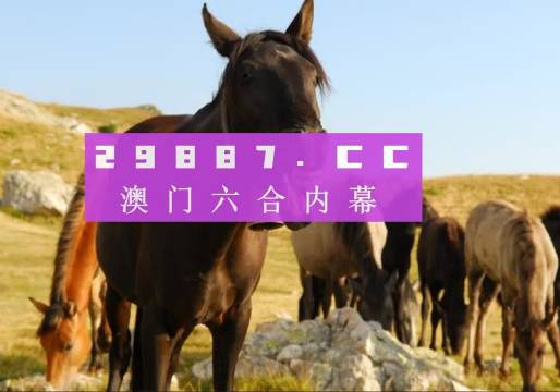 管家婆精选一码解密,精选资料解析大全