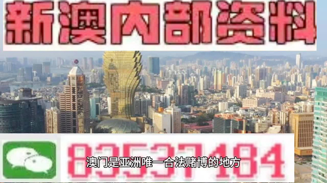 澳门内部资料和公开资料,精选资料解析大全