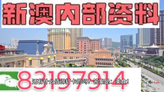 澳门正版精准免费大全,精选资料解析大全
