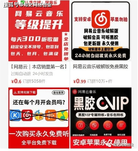 新奥天天免费资料大全正版优势,精选资料解析大全