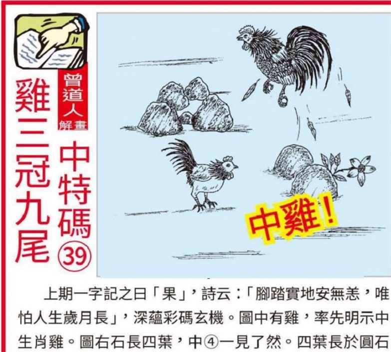 新奥门资料大全正版资料2025,精选资料解析大全