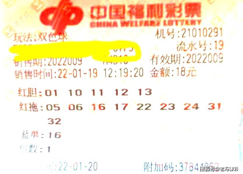 澳门一肖100准免费,澳门一肖100准免费，理性看待彩票与娱乐的界限