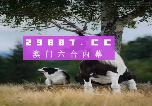 澳门内部正版免费资料软件优势,澳门内部正版免费资料软件，优势与价值