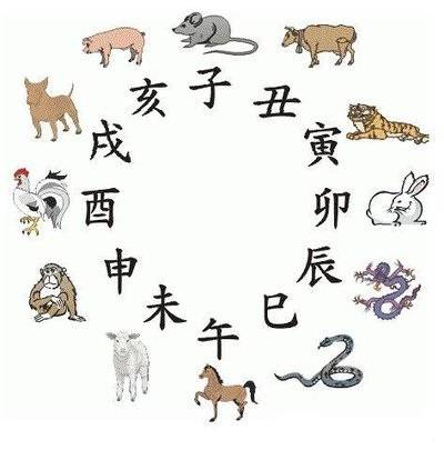 2025十二生肖49码表,2025年，探索十二生肖与49码表的神秘交织