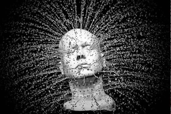 一码一肖100%的资料,揭秘一码一肖100%的资料，真相与误区