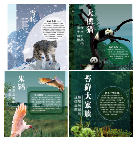 百科 第257页