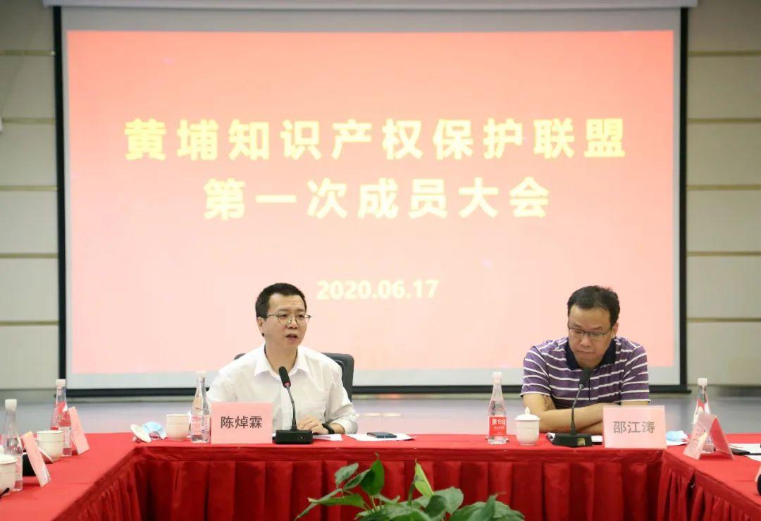 正版大全资料49,探索正版大全资料49，守护知识产权，共享优质资源