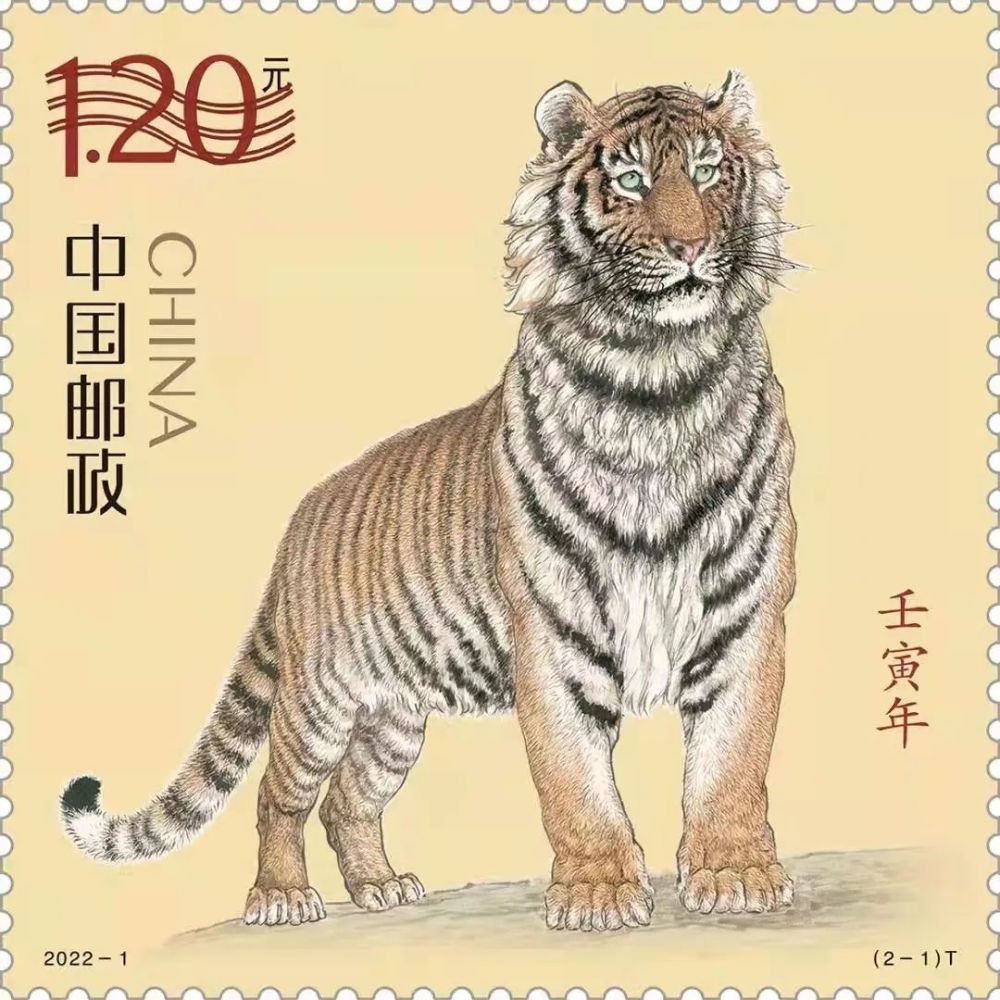 2025今晚开的四不像生肖图,2025年今晚揭晓的四不像生肖图，神秘与奇趣的交织