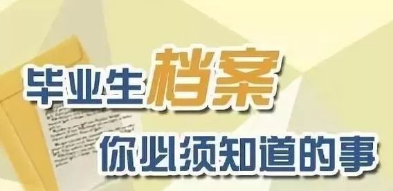 新奥门精准资料大全管家,探索新奥门，精准资料大全管家的全面解析