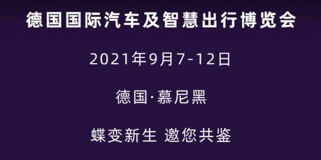 红姐论坛大众网,揭秘红姐论坛，大众网中的隐秘角落