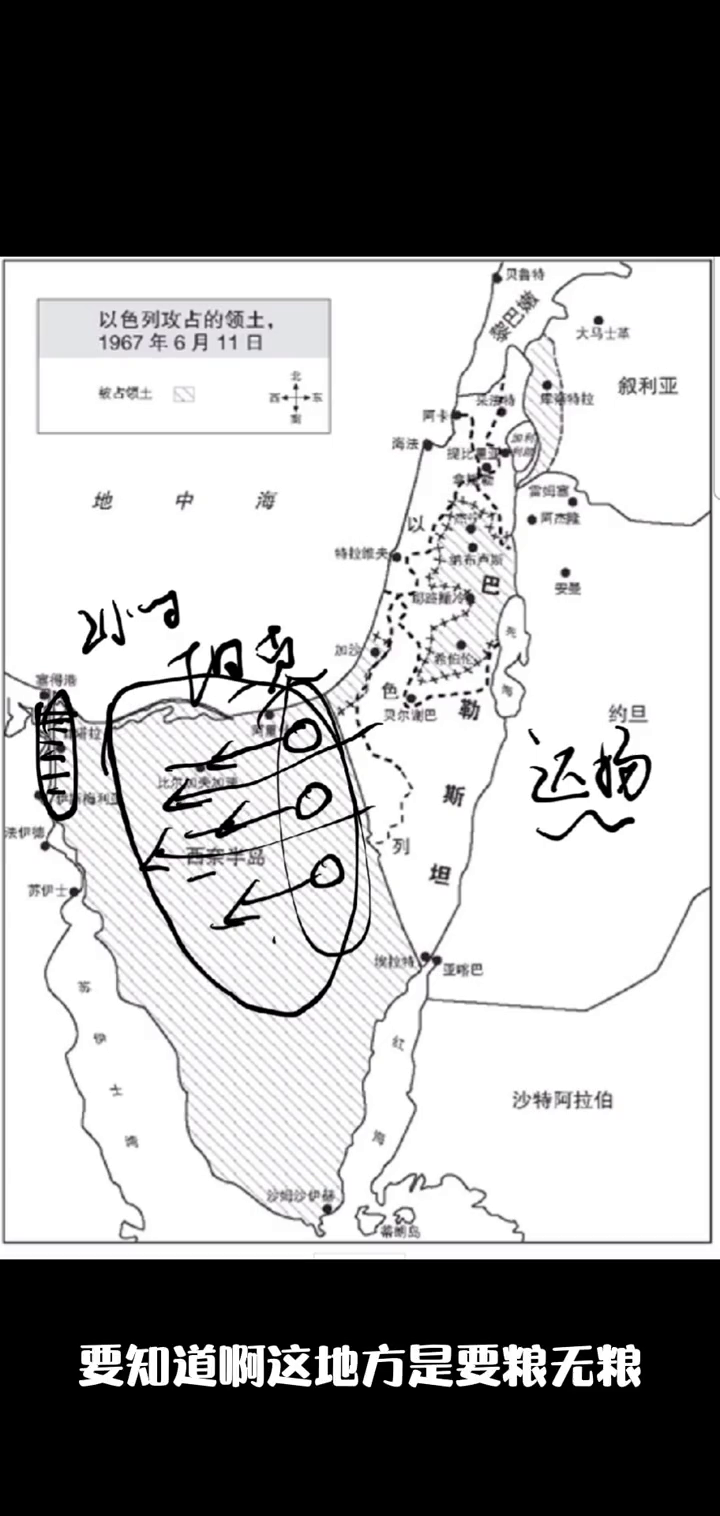 7777788888精准跑狗图,7777788888，精准跑狗图揭秘与理性分析