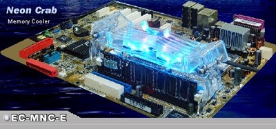 新奥门免费资料大全最新版本下载,探索新奥门免费资料大全，最新版本下载的全面指南
