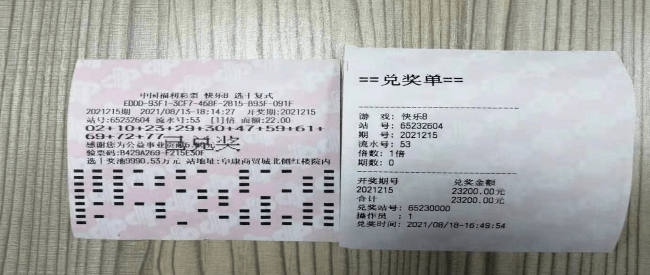 新澳门天天开好彩大全,澳门彩市新气象，新澳门天天开好彩大全解析