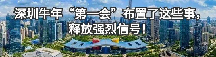 一肖一码一一肖一子深圳,深圳一肖一码一一肖一子，城市发展的独特密码