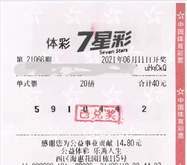 彩票开奖结果,彩票开奖结果，一场数字的奇幻之旅