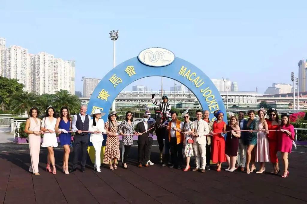 今晚澳门马出什么特马,今晚澳门马出什么特马？——揭秘澳门赛马场的神秘与魅力