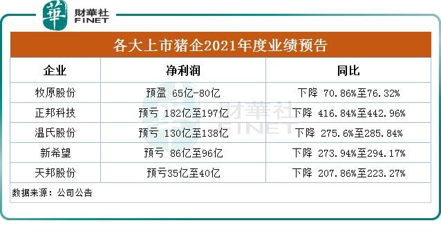 2025新奥历史开奖记录49期,2025新奥历史开奖记录49期，探索数字背后的故事与未来展望