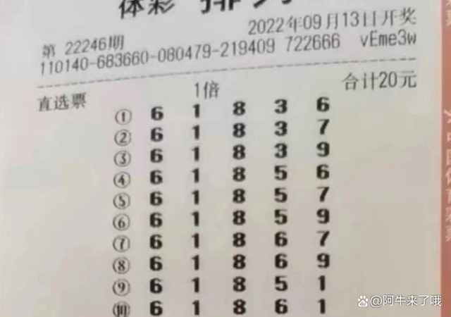 4949澳门六开奖号码结果,揭秘澳门六开奖，4949背后的数字游戏与公众心理