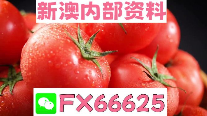 新澳好彩免费资料查询水果奶奶,探索新澳好彩，免费资料查询与水果奶奶的奇妙之旅