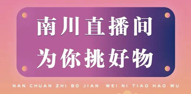 今晚澳门特马必开一肖,今晚澳门特马必开一肖的理性思考与警示