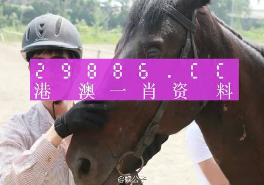 澳门一肖一码一一子,澳门一肖一码一一子，揭秘背后的真相与误解