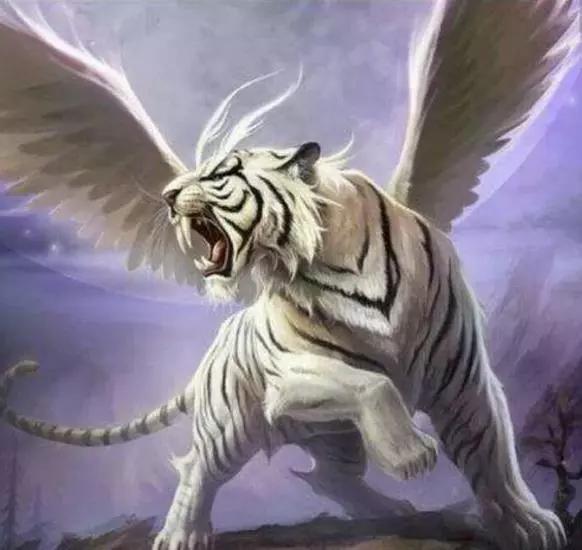 澳门白虎玄机精准玄武,澳门白虎玄机，精准预测与玄武之谜的探索