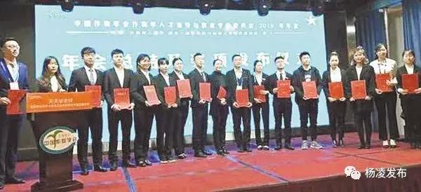 2025年天天彩正版资料,探索2025年天天彩正版资料的未来趋势与影响