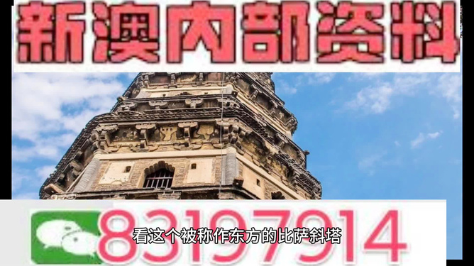 新澳门资料大全正版资料2025年,探索未来，2025年新澳门资料大全正版资料的前瞻分析