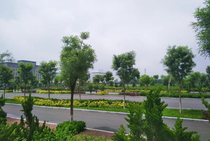 凤凰论坛免费资料大全,凤凰论坛，免费资料大全的宝藏之地
