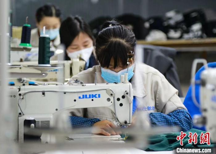 新奥最快最准免费资料,探索新奥，最快最准的免费资料指南