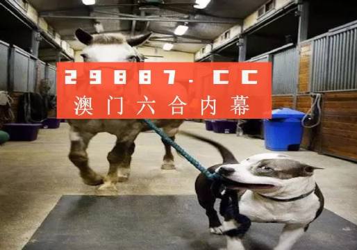 澳门一肖一码一必中同舟前进,澳门一肖一码一必中，同舟共济，携手前进