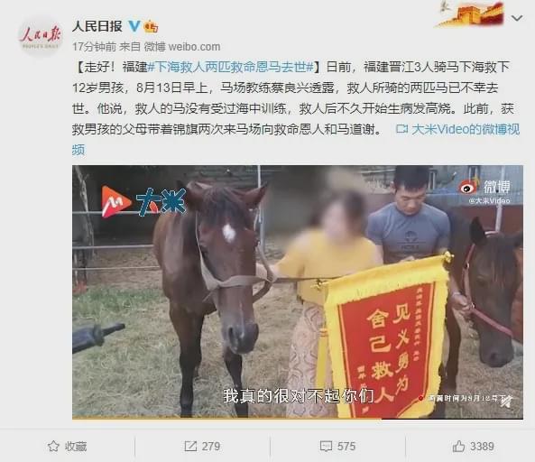 今天澳门特马开的什么波绝,澳门特马开奖揭秘，今日波绝背后的故事与解析