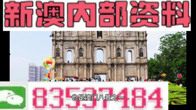澳彩资料免费资料大全的特点,澳彩资料免费资料大全，全面、精准、安全的彩民首选