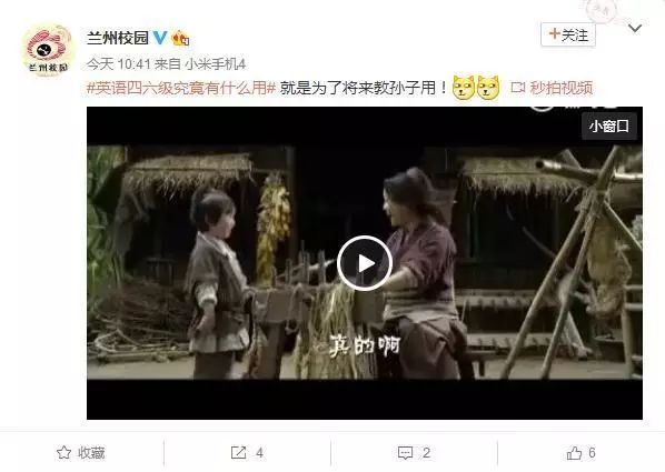 新奥门特免费资料大全火凤凰,探索新奥门特，免费资料大全与火凤凰的崛起