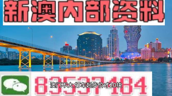 新澳门精准资料期期精准,澳门精准资料，期期精准的奥秘与挑战