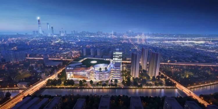 香港2025精准资料,香港2025，精准资料下的未来展望与挑战