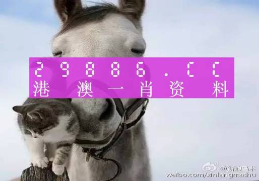 澳门一肖一码准选一码2023年,澳门一肖一码准选一码2023年，揭秘与展望