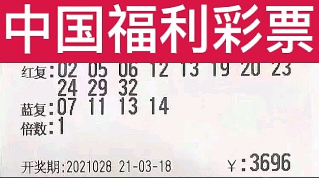 2025特马今晚开奖,2025特马今晚开奖，揭秘彩票背后的故事与理性思考