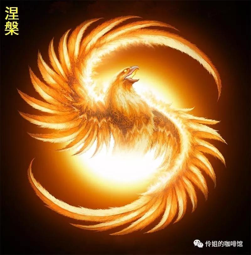 澳门三肖三码三期凤凰网,澳门三肖三码三期，凤凰涅槃的传奇