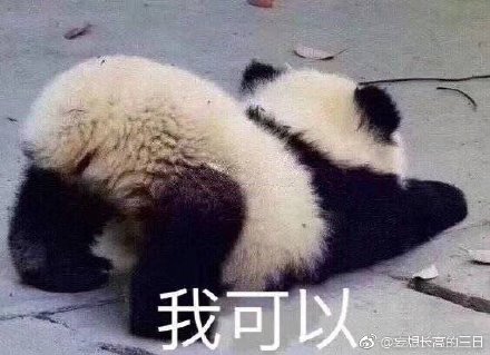 今晚四不像必中一肖图118,今晚四不像必中一肖图118，揭秘彩票预测的真相与理性态度