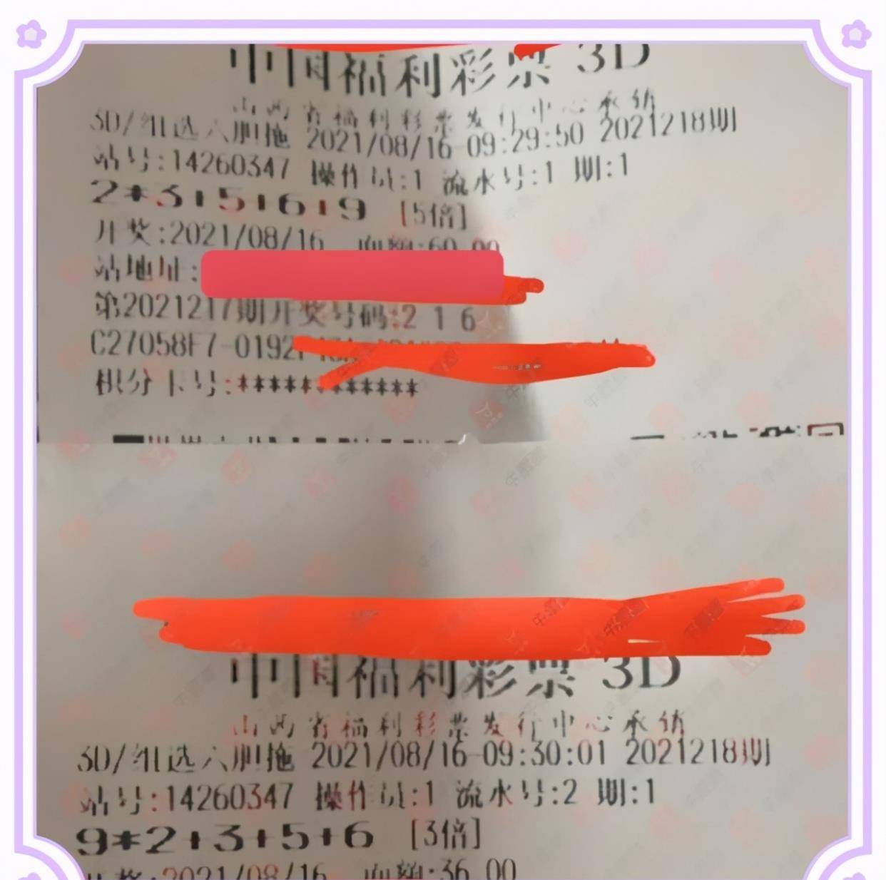 白小姐三肖三期必出一期,揭秘白小姐三肖三期必出一期的真相，理性对待彩票与娱乐