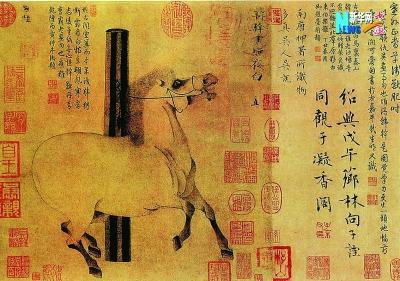 澳门黄大仙特马资料,澳门黄大仙特马资料，文化、历史与现代解读