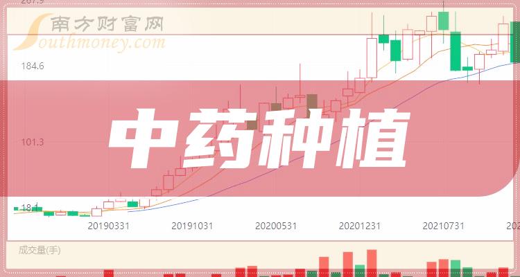 2025澳门特马今晚开奖53期,澳门特马，2025年53期开奖的神秘与期待